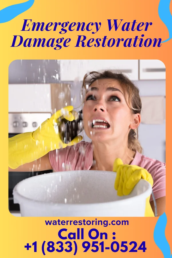 Emergency Water Damage Restoration in Princeton, WI