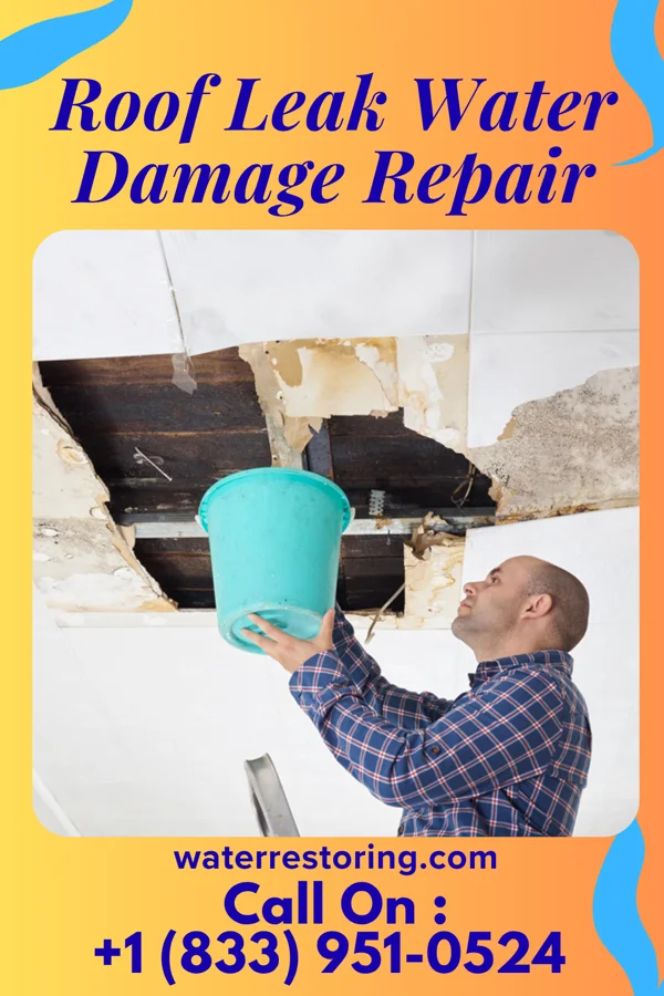 Roof Leak Water Damage Repair in Princeton, WI